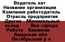 Водитель кат › Название организации ­ Компания-работодатель › Отрасль предприятия ­ Другое › Минимальный оклад ­ 1 - Все города Работа » Вакансии   . Амурская обл.,Октябрьский р-н